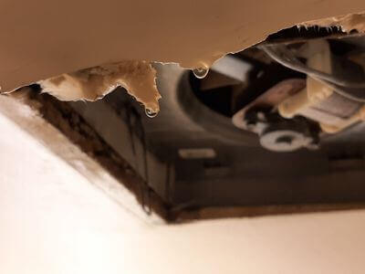 Professional 24 hour water damage restoration services in Hockley